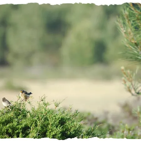 Aparthotel Tonel Turisticos Sagres
