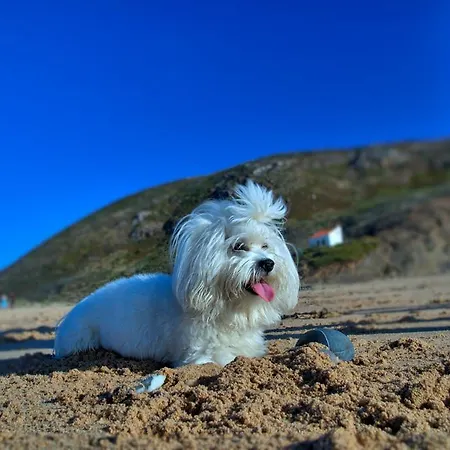 Tonel Turisticos 3* Sagres