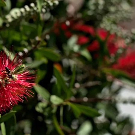 Tonel Turisticos 3* Sagres