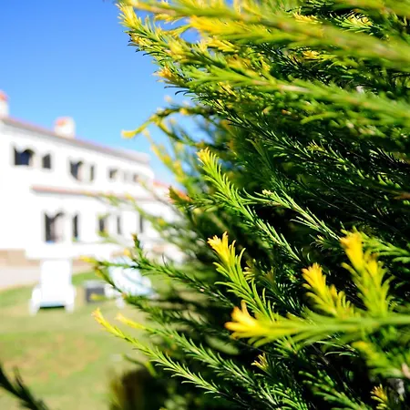 Aparthotel Tonel Turisticos 3*